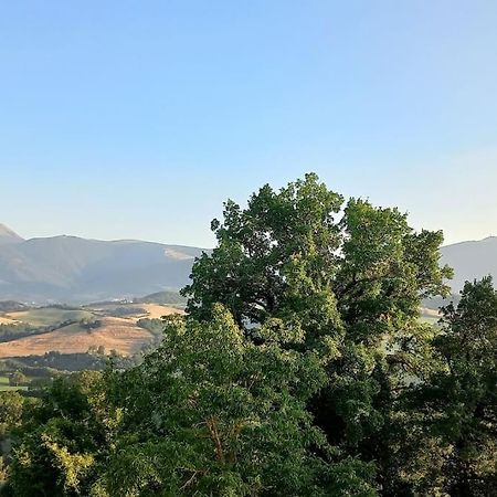 Pigno, Appartamento In Campagna Кальї Екстер'єр фото