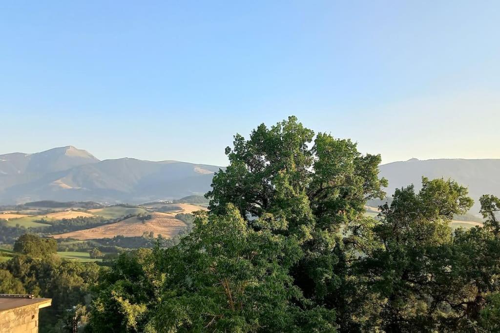 Pigno, Appartamento In Campagna Кальї Екстер'єр фото